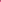 SACRECOEURCARLAHIBISBLOUSE_ROSE_4